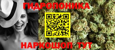 соль ск Кингисепп