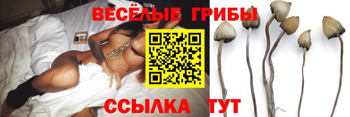 Клин  Галлюциногенные грибы MAGIC MUSHROOMS  Галлюциногенные грибы мицелий  где продают наркотики  Вход с VPN 